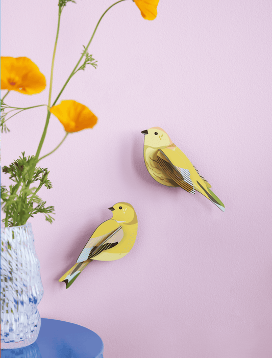 Citronella Pair - StudioROOF
