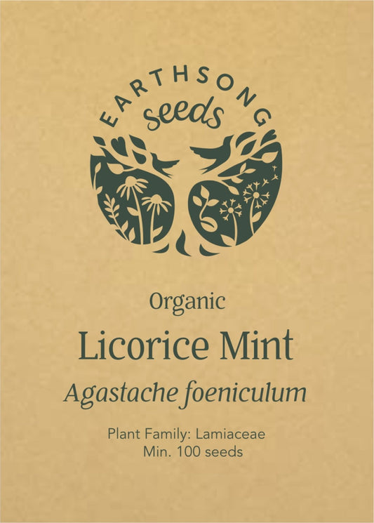 Licorice Mint - Seed Packet
