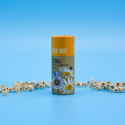 Wildflower Seedball Tube - Oxeye Daisy