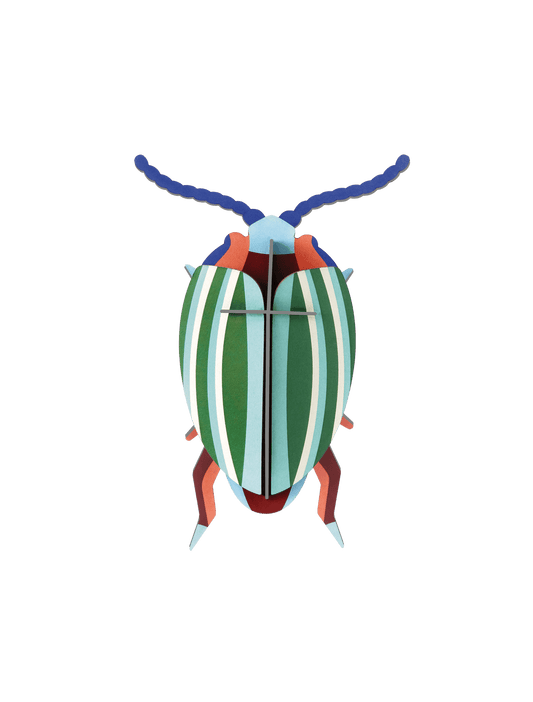 Rainbow Leaf Beetle