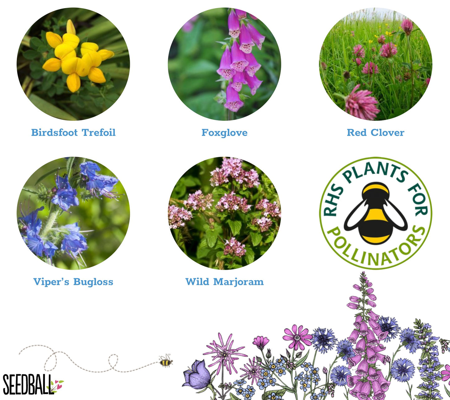 Wildflower Seedball Grab Bag - Bee Mix