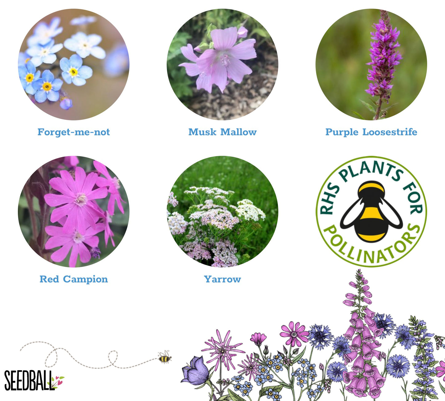 Wildflower Seedball Grab Bag - Butterfly Mix