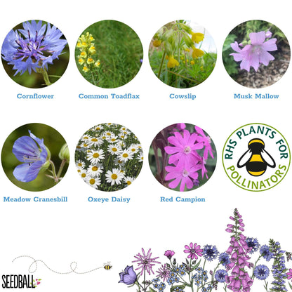 Wildflower Seedball Grab Bag - Garden Meadow Mix