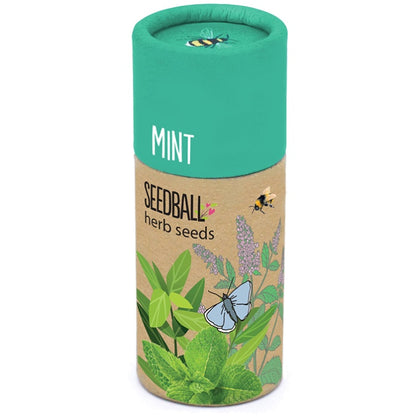 Herb Seedball Tube - Mint