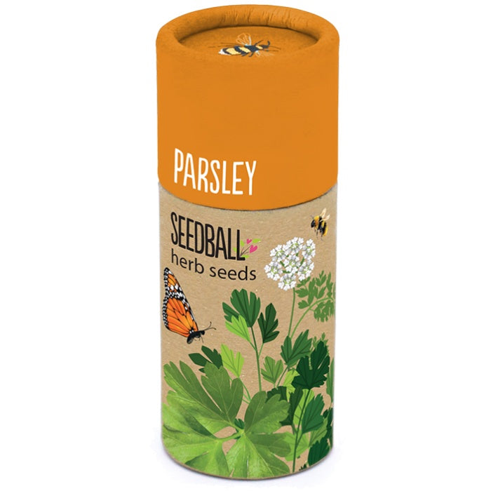 Herb Seedball Tube - Parsley