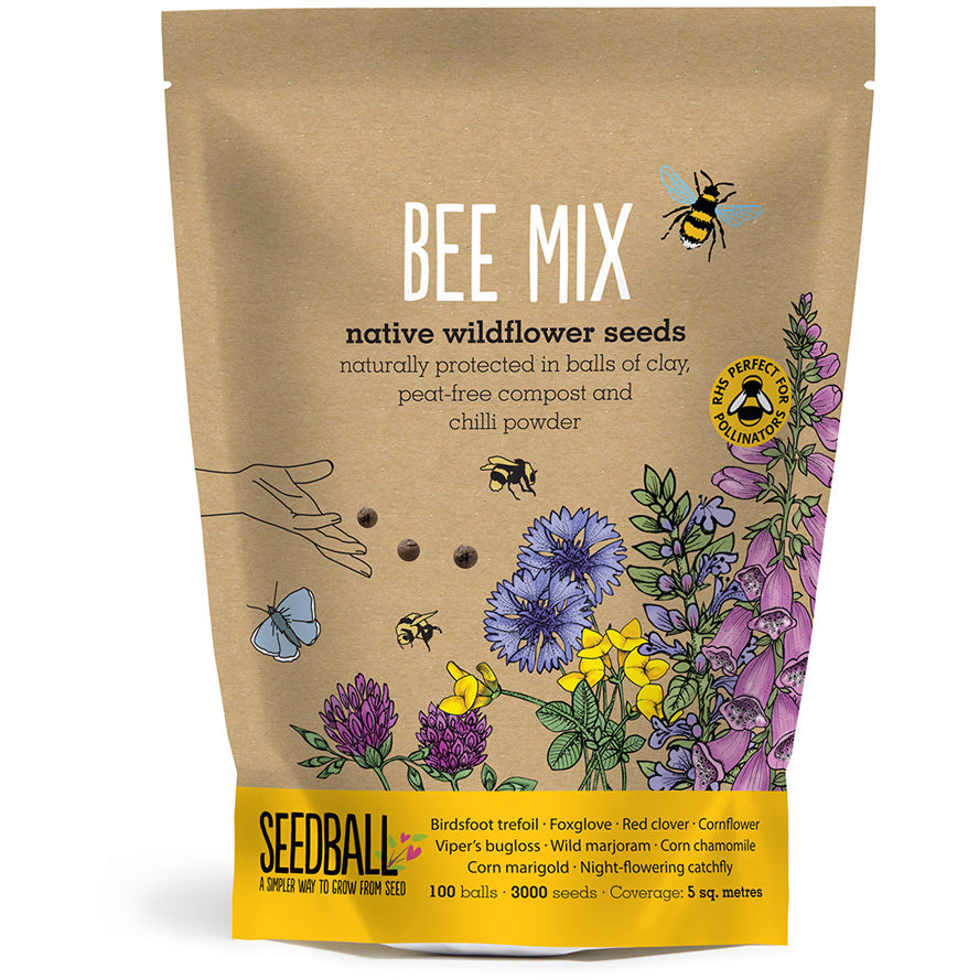 Wildflower Seedball Grab Bag - Bee Mix