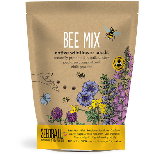 Wildflower Seedball Grab Bag - Bee Mix