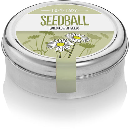Wildflower Seedball Tin - Oxeye Daisy
