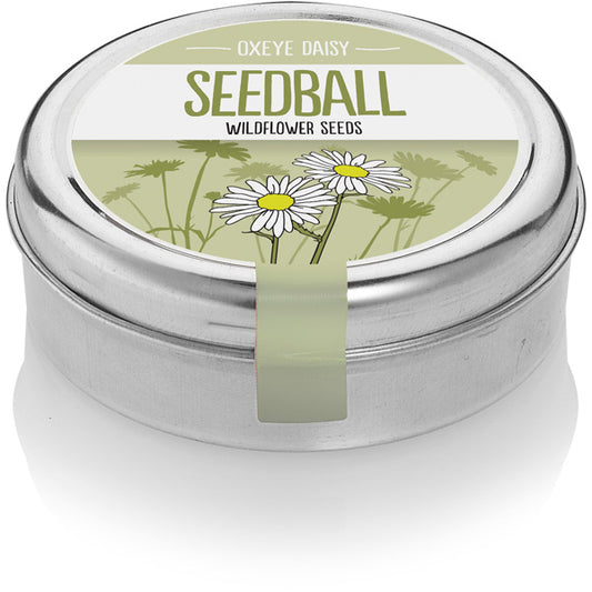 Wildflower Seedball Tin - Oxeye Daisy